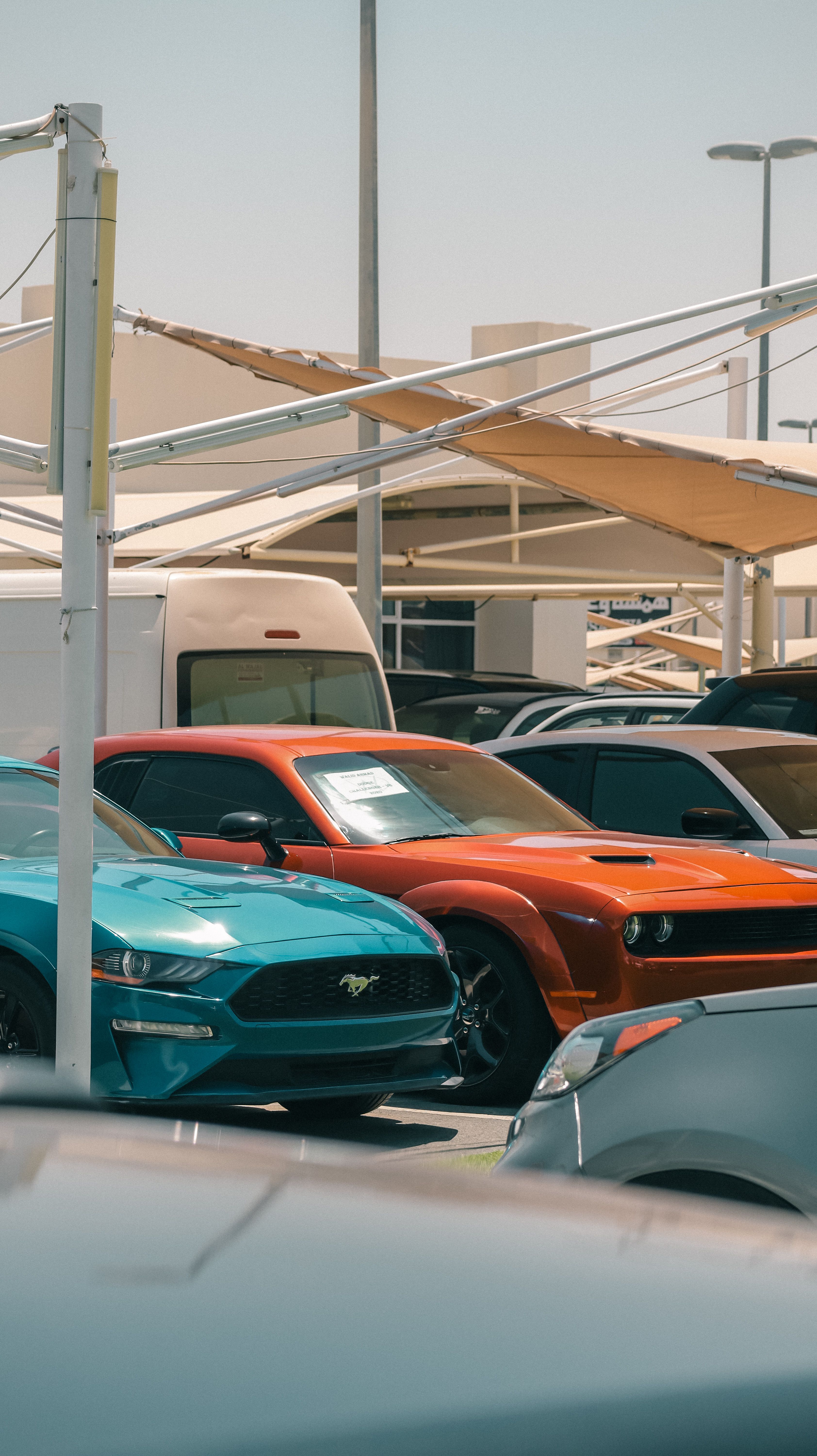 Vehicle Inspection